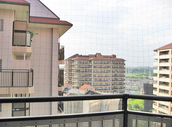 View photos from the dwelling unit. View from the Western side balcony (northwest)