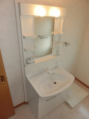 Washroom. Shampoo dresser