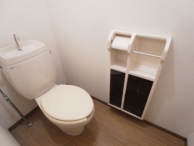 Toilet. Compact with storage in toilet.