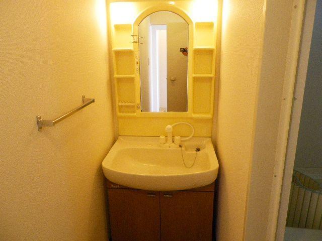 Washroom. Shampoo dresser