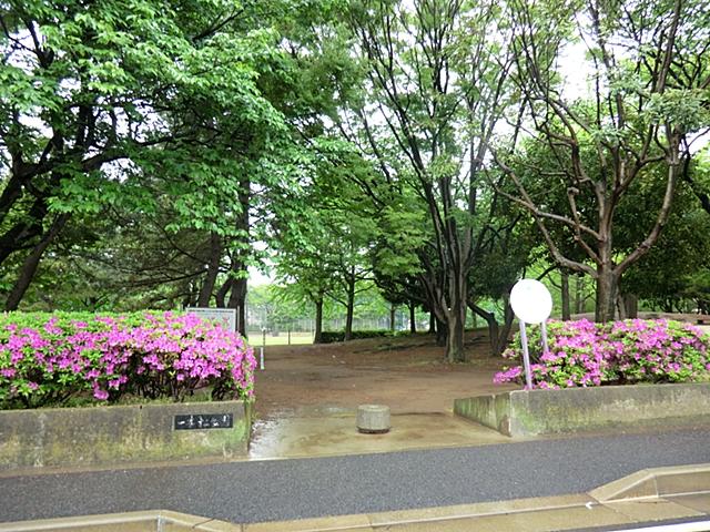 park. In the close 450m park until the solitary pine tree park, Green is also a rich living environment.