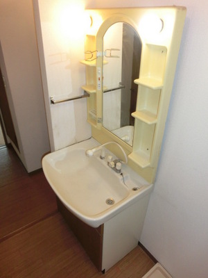 Washroom. Shampoo dresser