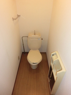 Toilet. Separated toilet