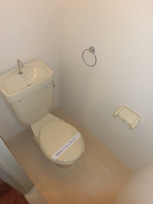 Toilet. Separated toilet