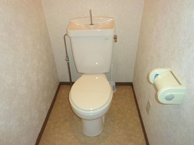 Toilet. It is a Western-style toilet.