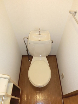 Toilet. Toilet (inverted type)