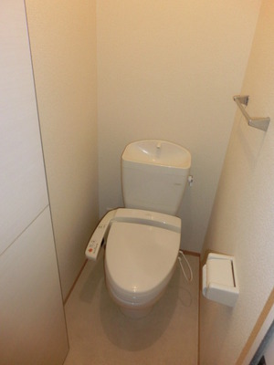 Toilet. Toilet with a bidet