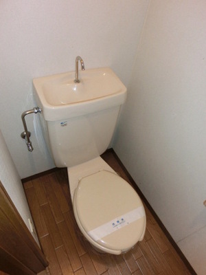 Toilet. Clean toilet Room