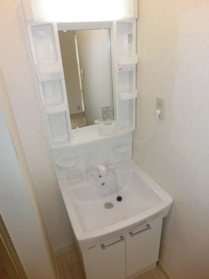 Washroom. Shampoo dresser equipped