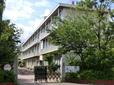 Primary school. 370m until the field elementary school (elementary school)