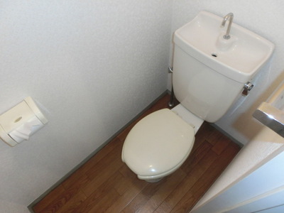 Toilet. Toilet