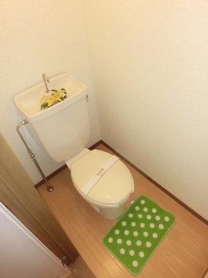 Toilet. Separated toilet