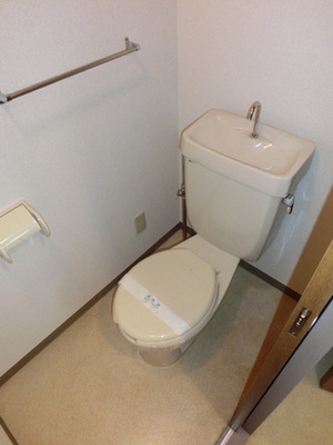 Toilet. A clean toilet room (same type)