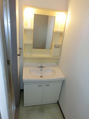 Washroom. Independent wash basin (same type)