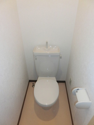 Toilet. Toilet