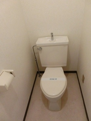 Toilet. Toilet