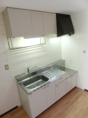 Kitchen. Economical city gas adoption