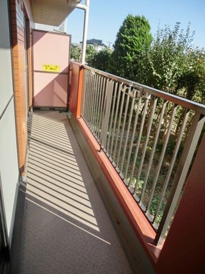 View. Balcony