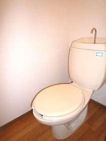 Toilet. It is important place!