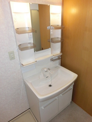 Washroom. Shampoo with Dresser