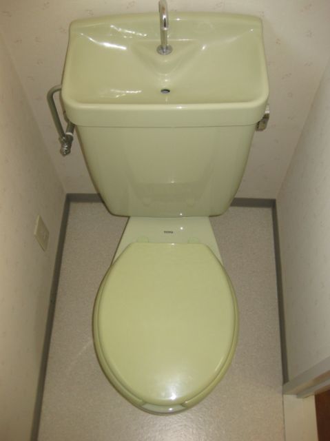Toilet. Beautiful Western-style toilet. 