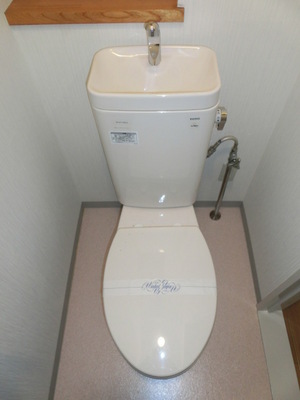 Toilet. It is a toilet with a clean.