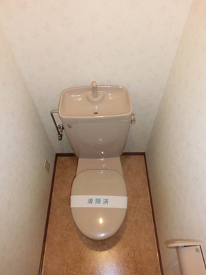 Toilet. Toilet