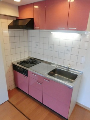 Kitchen. 2 lot gas stoves with kitchen