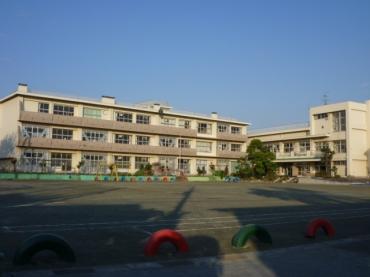 Primary school. Inage to elementary school 10m