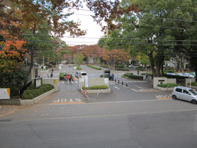 University ・ Junior college. National Chiba University (University of ・ 640m up to junior college)