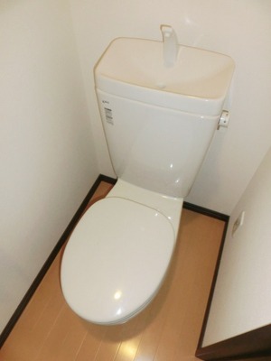 Toilet. Toilet