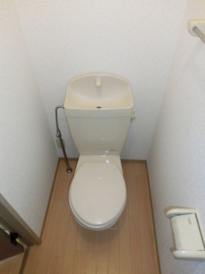 Toilet. Toilet