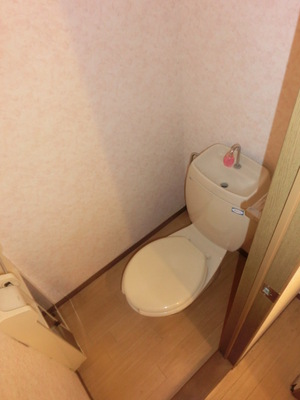 Toilet. Separated toilet