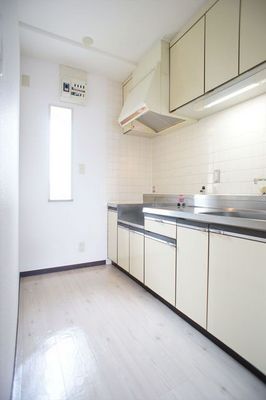 Kitchen. Kitchen space of leisurely spread. 