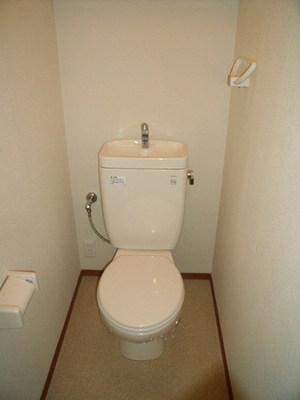 Toilet. Separate toilet