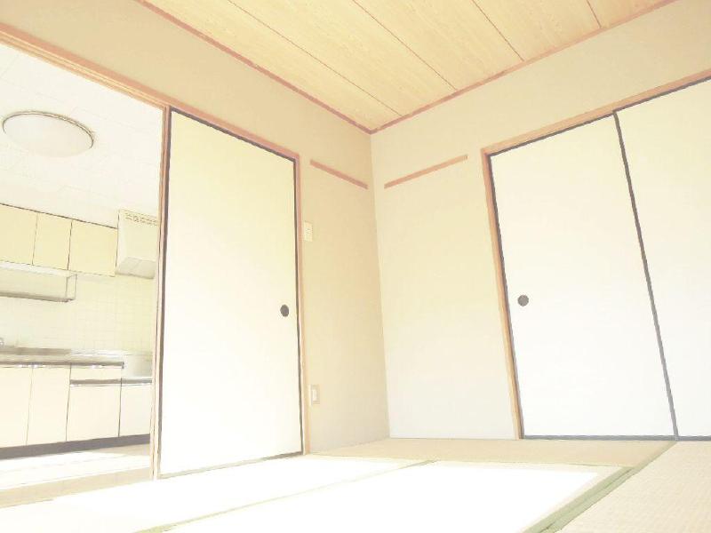 Other room space. Tatami is also so beautiful!