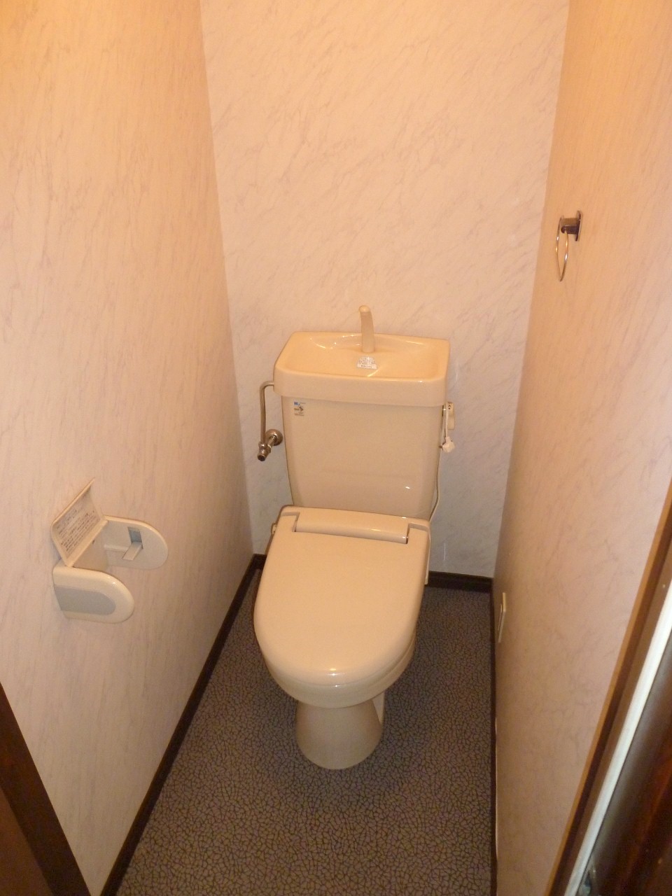 Toilet
