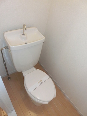 Toilet. Separated toilet