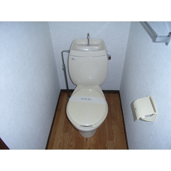 Toilet. Toilet Separate