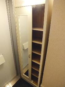 Other. Full-length mirror with shoe storage