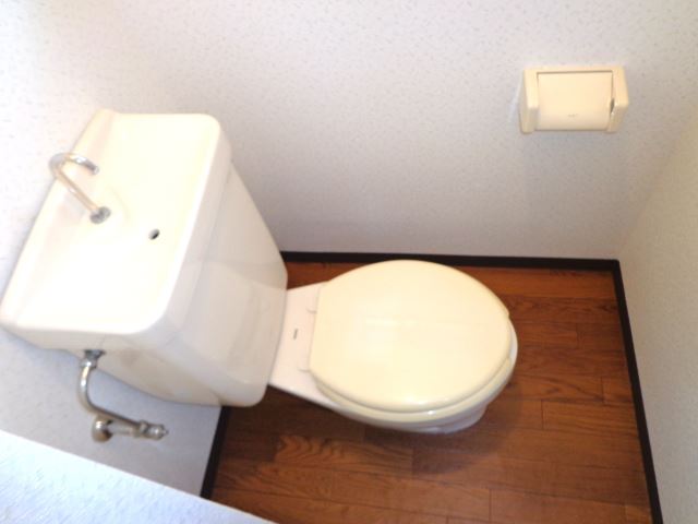 Toilet. Western-style toilet