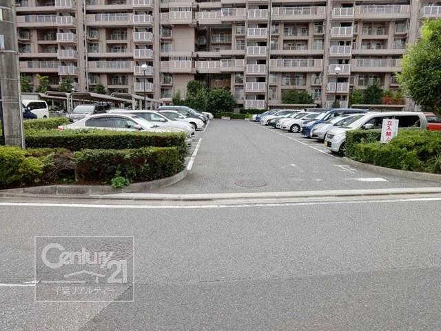 Parking lot. Common areas