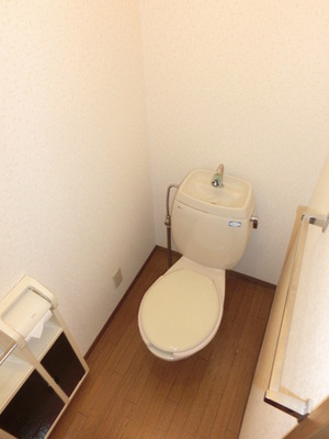 Toilet. Separated toilet