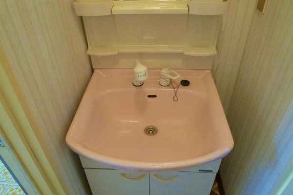 Washroom. Shampoo dresser