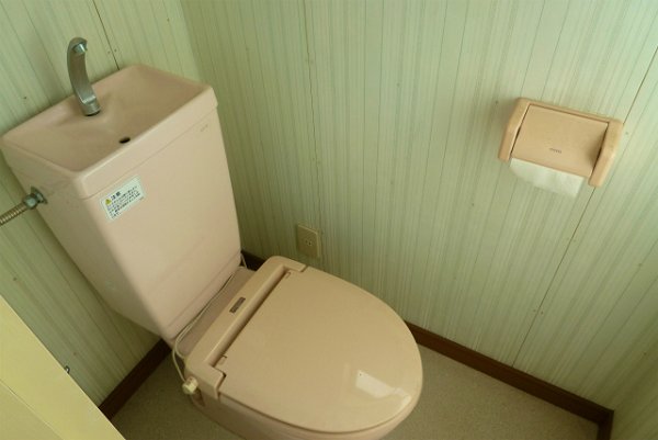 Toilet. Toilet with cleanliness