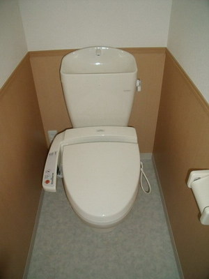 Toilet. Toilet