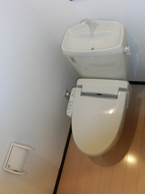 Toilet. Washlet toilet