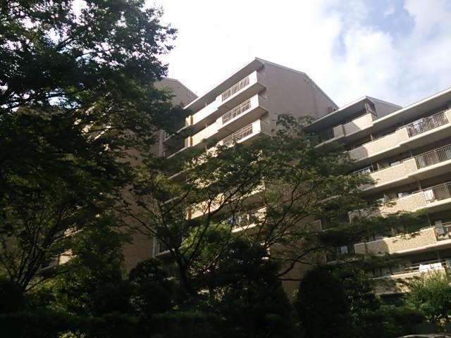 Local appearance photo. Local (12 May 2013) Shooting