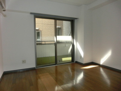 Living and room. Bright living room