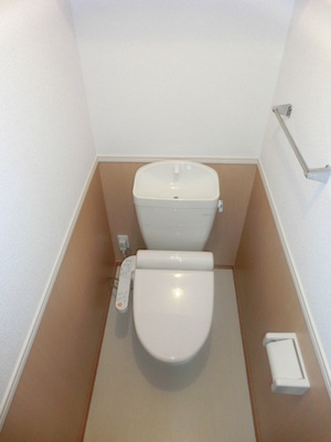 Toilet. Bidet with toilet